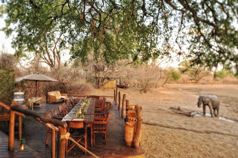 Mana Pools National Park's outdoor deck