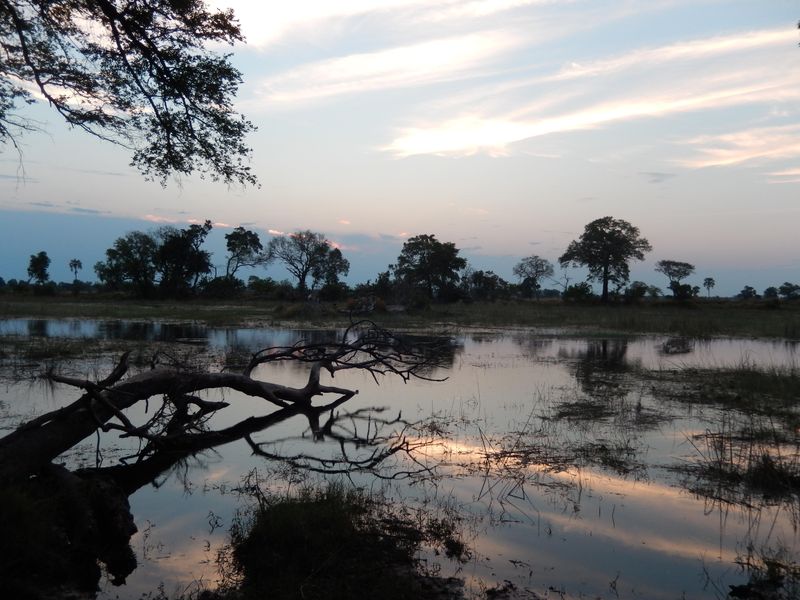 Sunset in the Okavango Delta