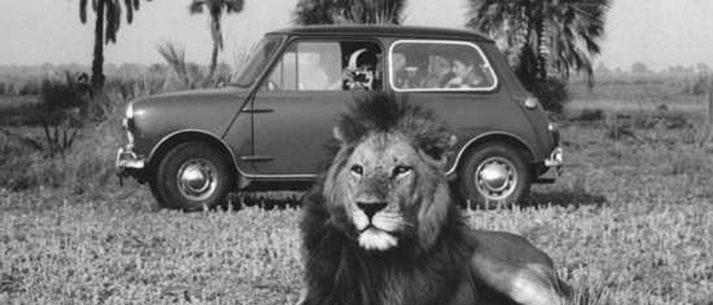 Kruger & Gorongosa National Park - Back in the Day
