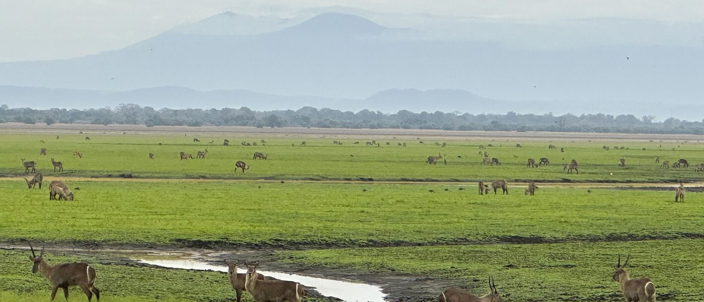 A Day in the Life of a Gorongosa Safari