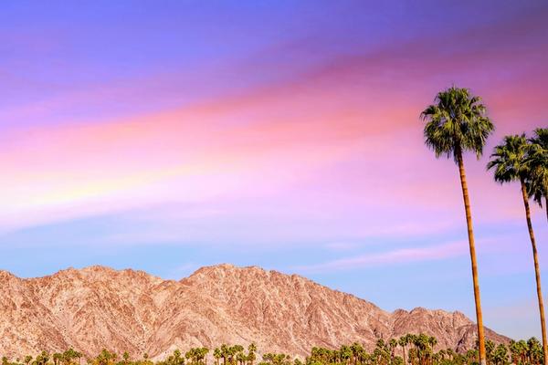 From the Desert With Pride: Rhino Africa at IGLTA Palm Springs