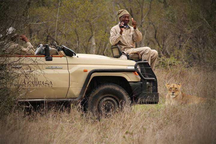 Arathusa Safari Lodge