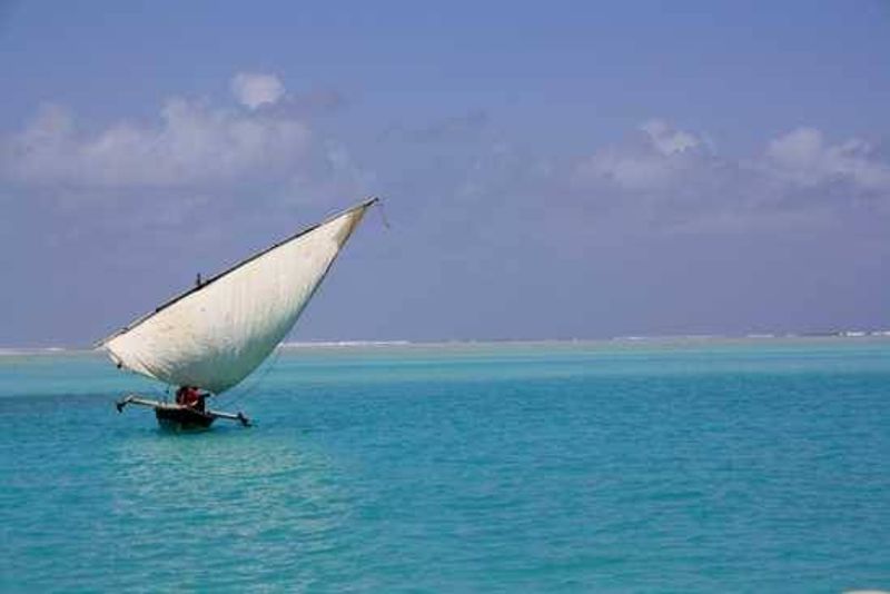 Enjoy a ride ona traditional dhow in Mozambique