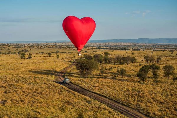 El Serengeti en Imágenes