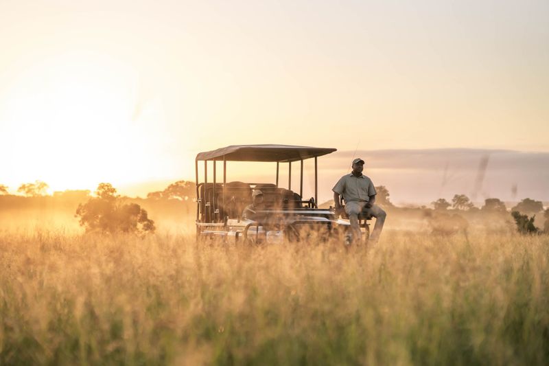 Winter safari in South Africa at Cheetah Plains