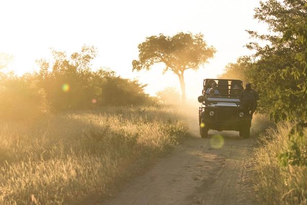 24 Stunden auf Safari: Ihr Tagesablauf im Reich der Big Five