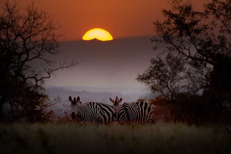 Randy Harris Photography