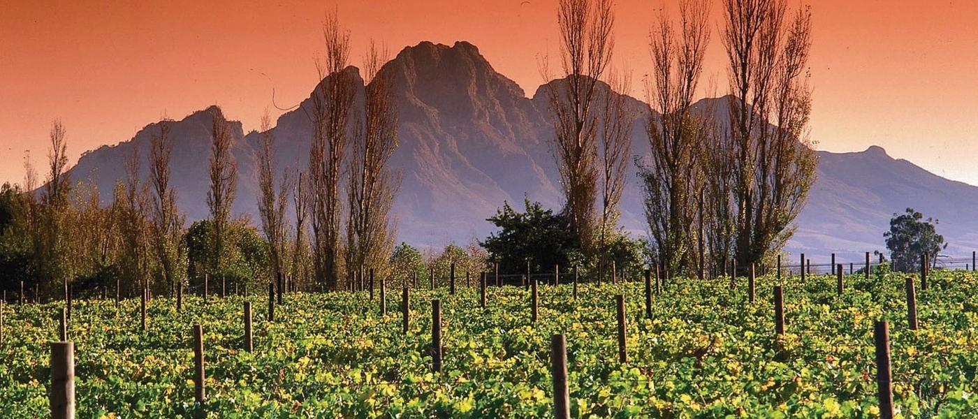 What To Do In Franschhoek: From Bubbly to Bentleys