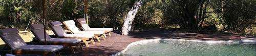 Tanda Tula in Timbavati