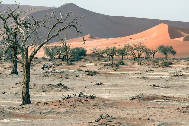 Wüste Namibia