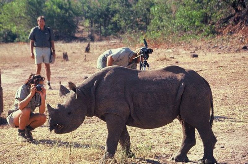 Walking safaris at Victoria Falls offers intimate encounters