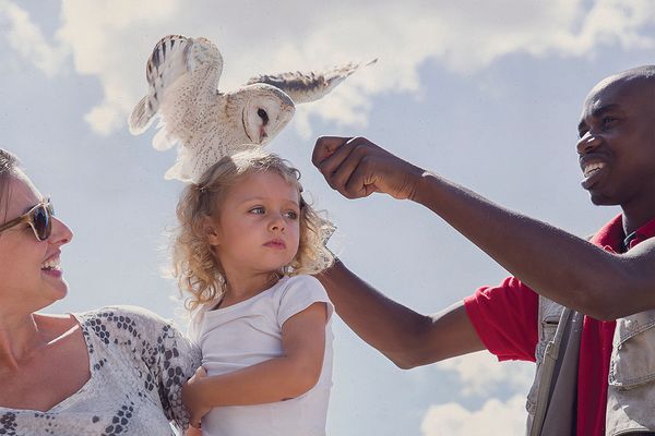 Fun Activities For Children In Cape Town