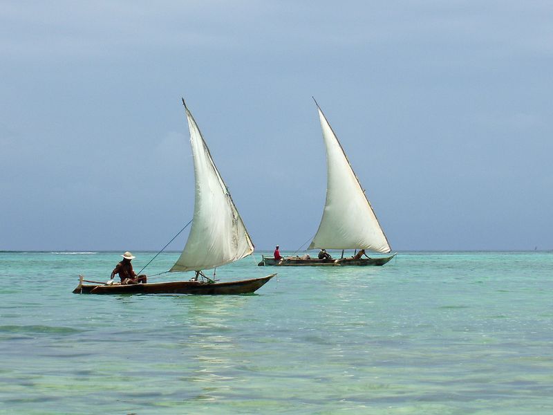 Dhows sailing on the clear waters of Zanzibar