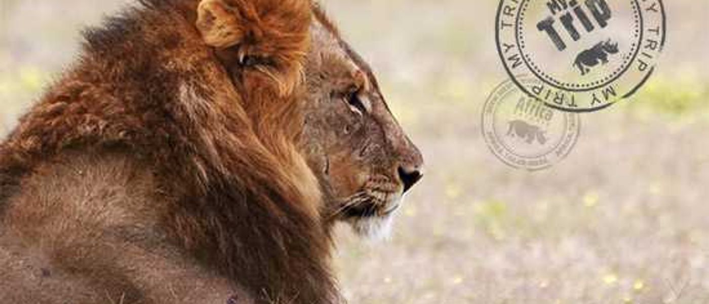 My Trip | Eat Your Heart Out Attenborough