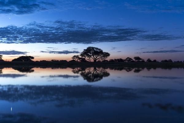 Descubre el secreto de African Bush Camps