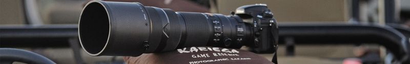 Un lente telefoto es muy útil para fotografiar animales salvajes