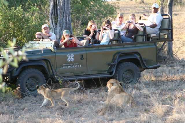 A True Safari Experience !
