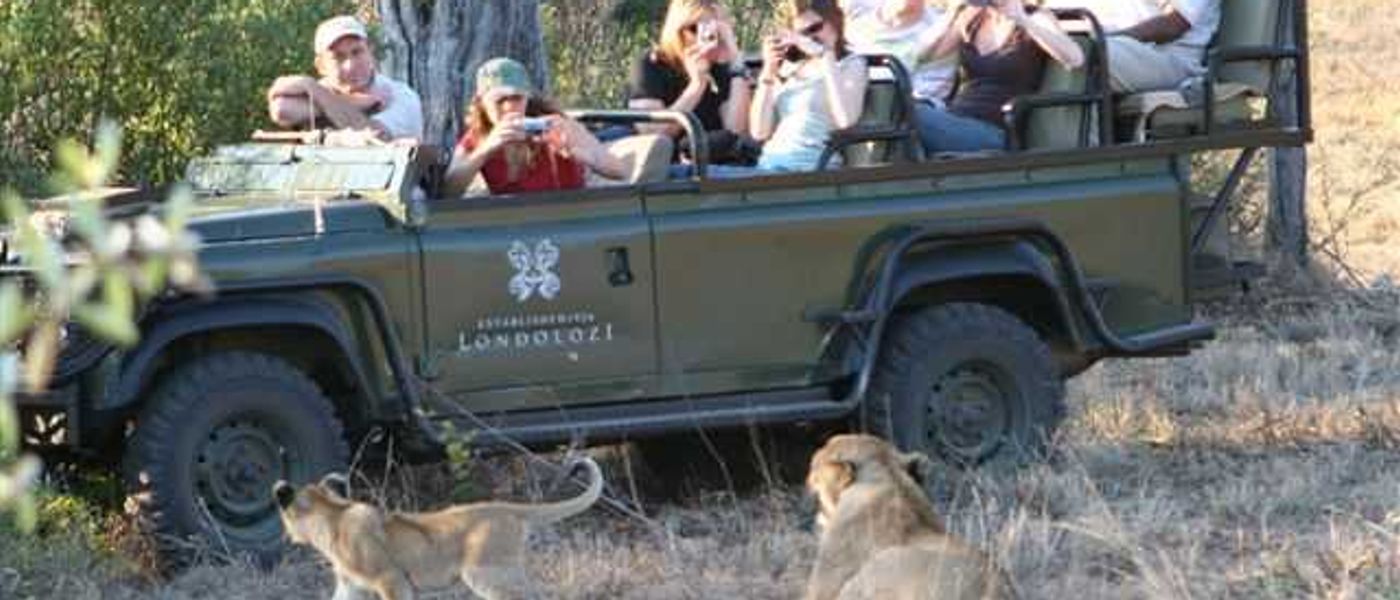 A True Safari Experience !