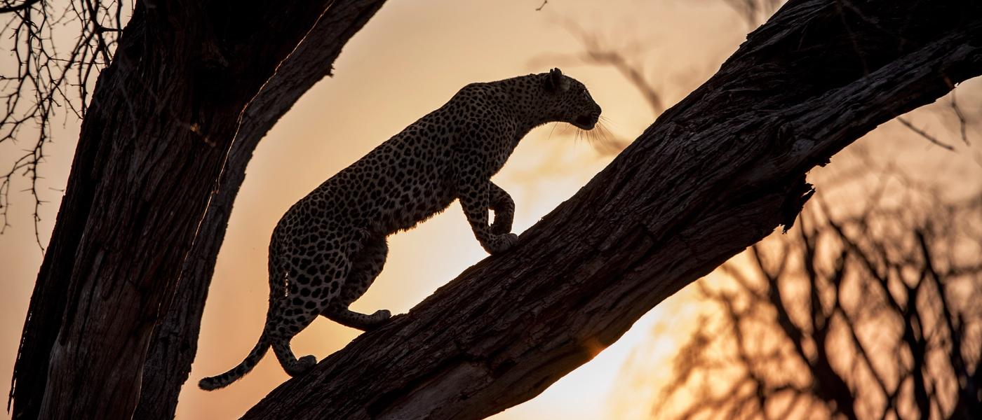Botswana – Das wilde Herz Afrikas