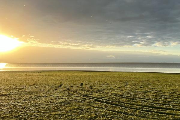 A Gorongosa Safari with Our Travel Expert Sam