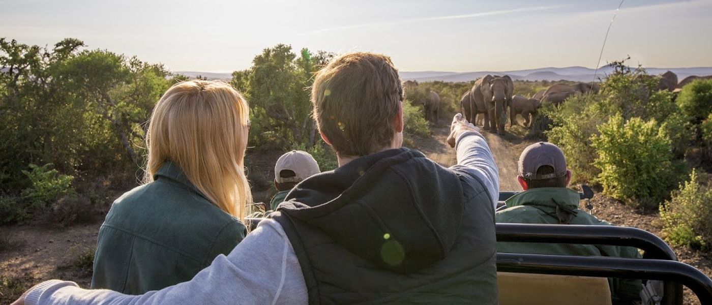 Tu safari africano: un día típico en la sabana