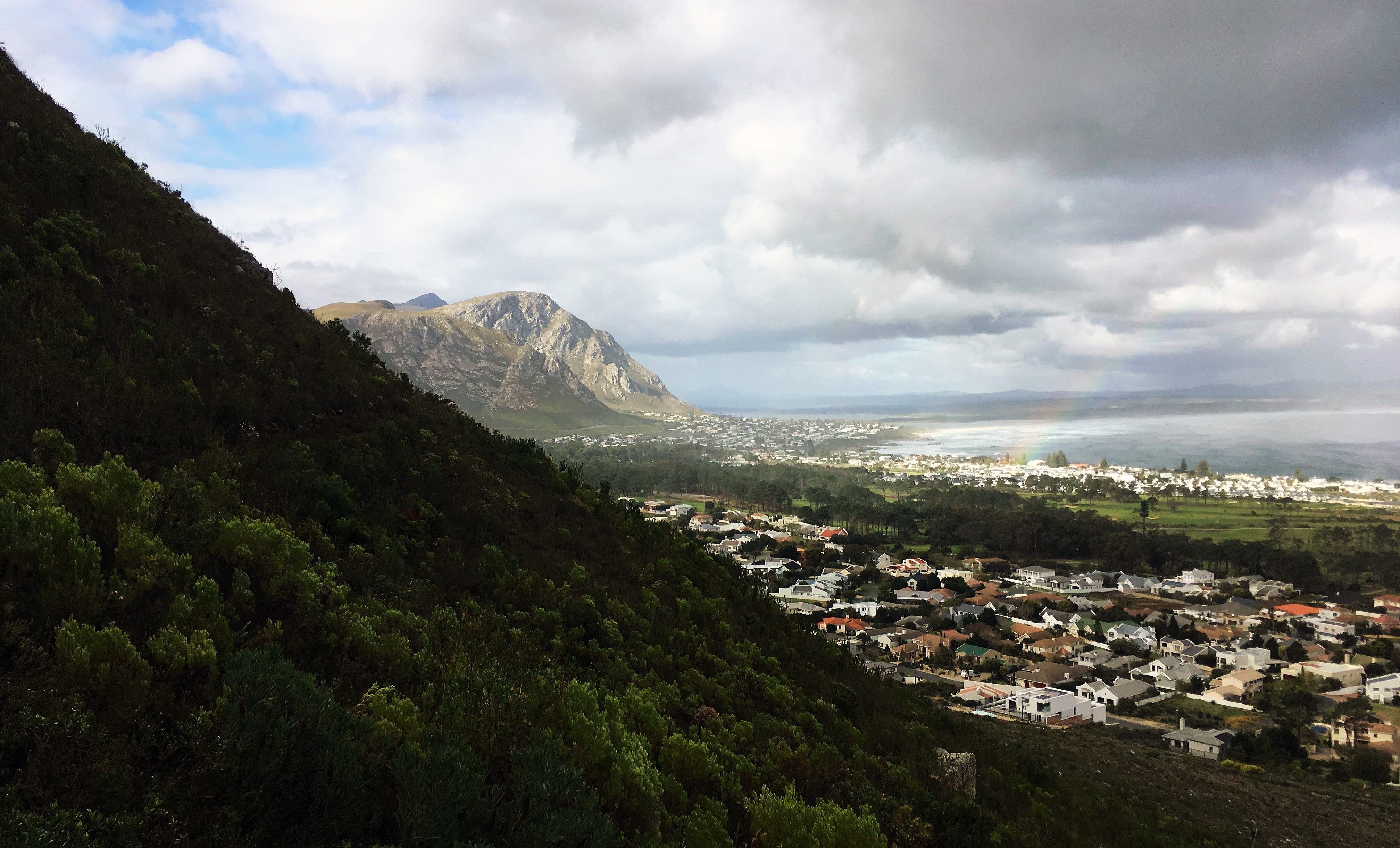 Coisas para fazer em Hermanus, África do Sul