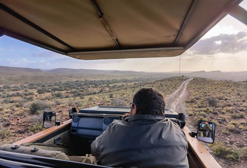 Game drive at Sanbona Wildlife Reserve