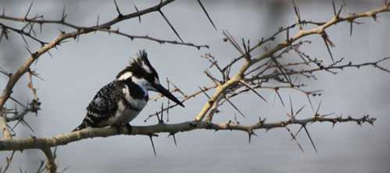 St Lucia Wetland Park