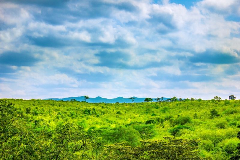 Ngong Hills is surely a treat to see