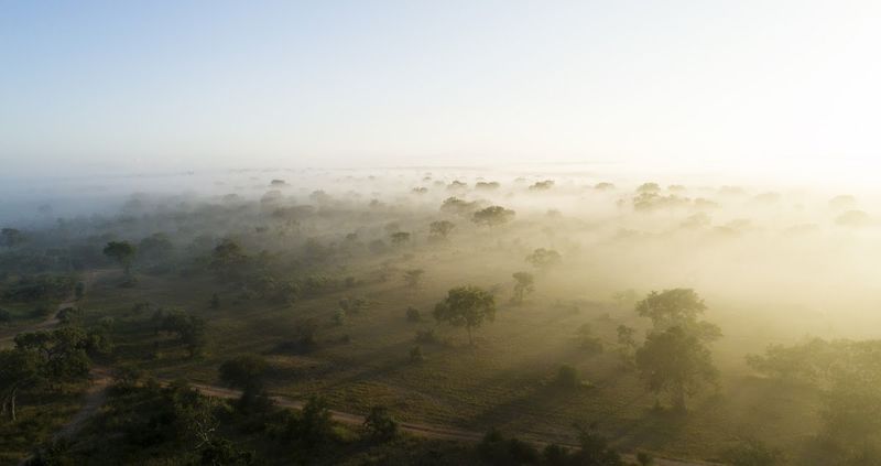 melhor época para visitar o Parque Nacional Kruger: Diferentes estações trazem paisagens e experiências únicas
