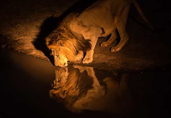 South Africa: What Lies Beyond...