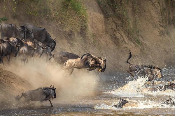 The Great Migration in Pictures