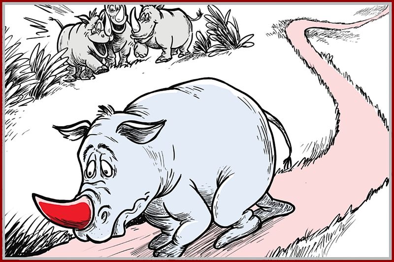 Rodney being teased by other rhinos