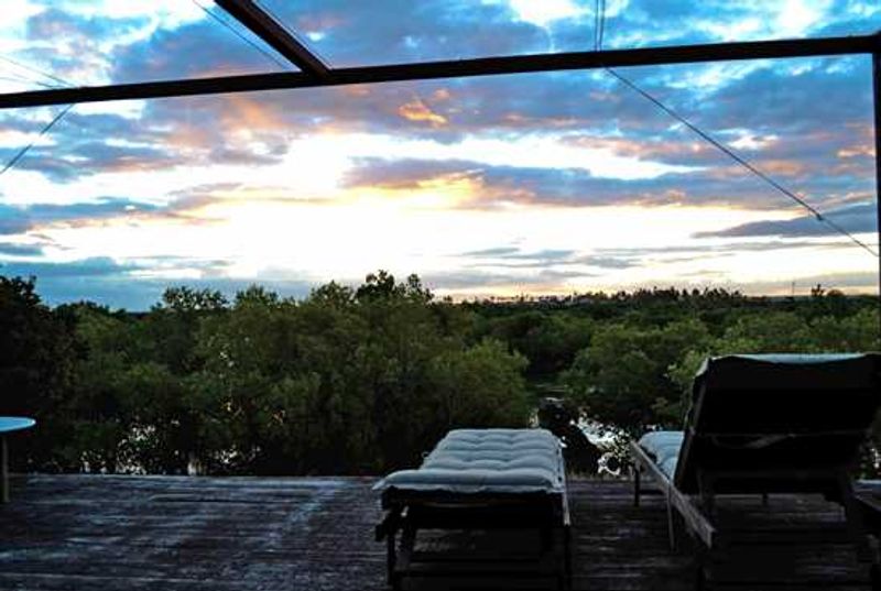What a view!