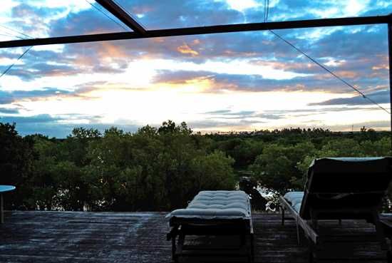 What a view!