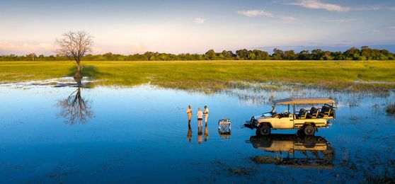 El Delta del Okavango en Imágenes
