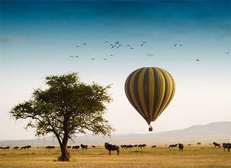 Singita Grumeti | Conde Nast Readers' Choice Awards