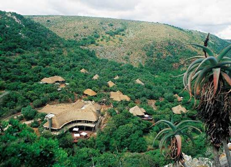 Shamwari Eagles Crag