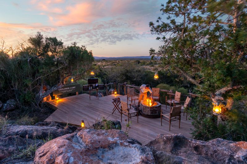 Winter safari in South Africa at Shamwari