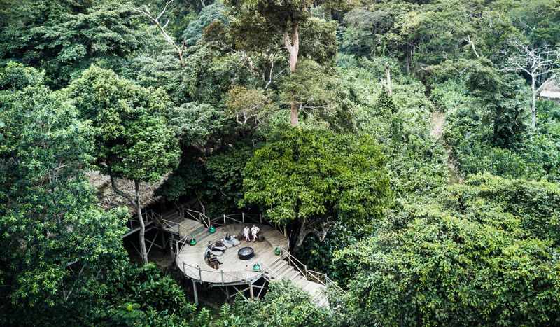 Aussichtsdeck im dichten Regenwald Afrikas