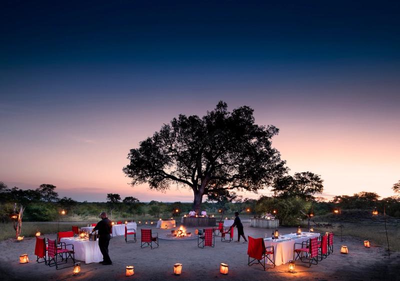 Cena al aire libre bajo un gran árbol al atardecer, con mesas dispuestas alrededor de una fogata e iluminadas por faroles.