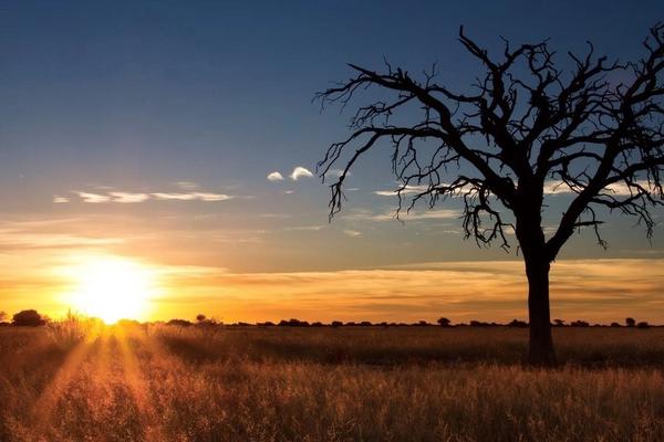 5 razones para visitar el desierto del Kalahari