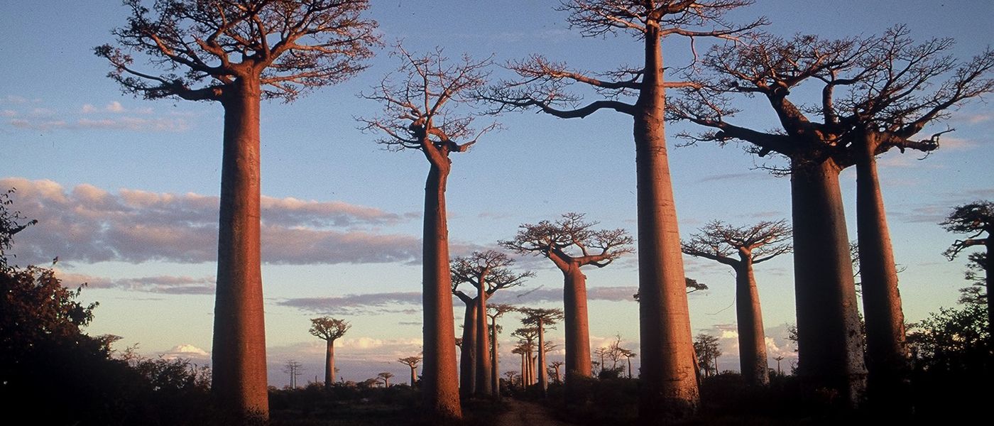 5 raisons de séjourner à Madagascar