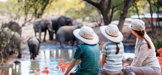 Un safari en famille au coeur de l’Afrique : à quoi s’attendre