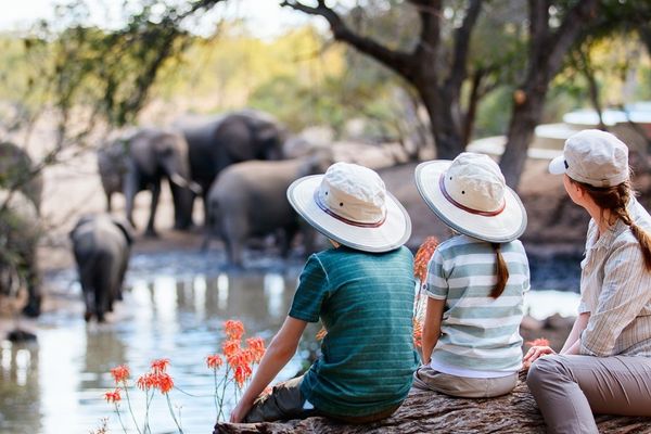 Wilderness Playground: O que esperar de um safári em família na África