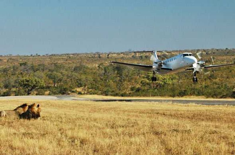 Fly in to your private lodge in the Kruger Park