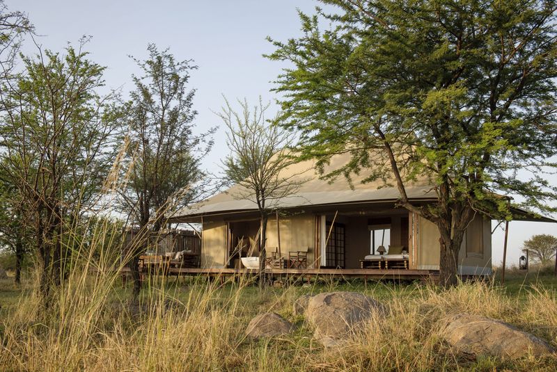 Sayari Camp tented room
