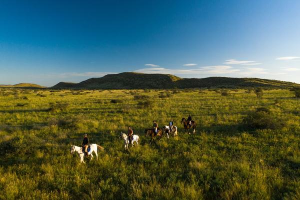 Giddy-Up! My Horseback Riding Safari at Tswalu