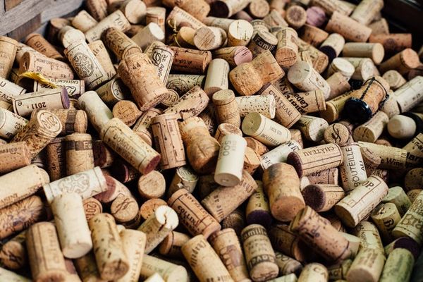 Weinprobe im Kap-Weinland - werden Sie mit uns zum Profi