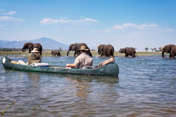 Vida selvagem e cachoeiras: passeios de safári na África Austral no Zimbábue e na Zâmbia